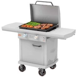 LoCo 2 Burner Liquid Propane Outdoor Griddle With Hood Gray