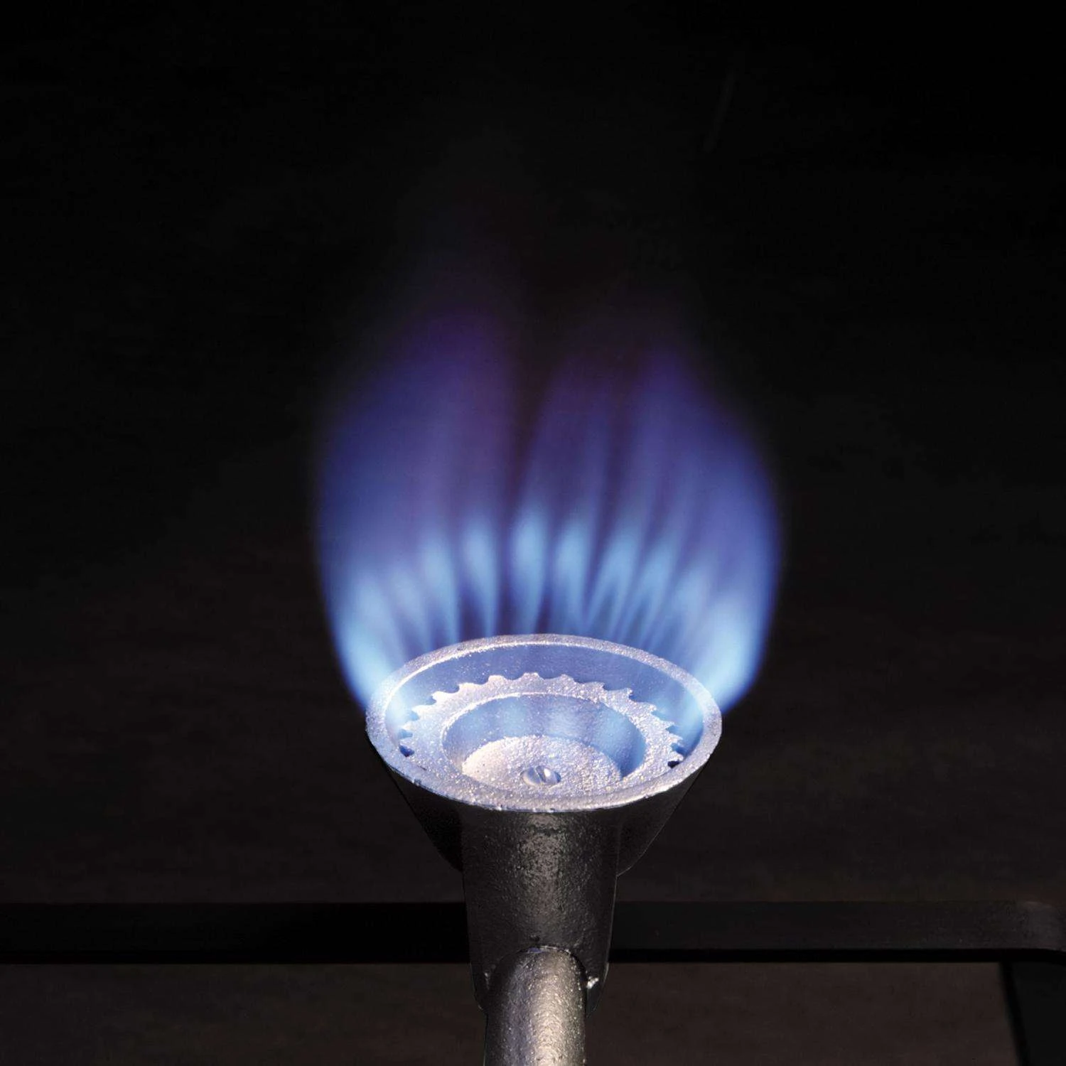 Bayou Classic 59000 BTU Stainless Steel Outdoor Cooker - Image 3