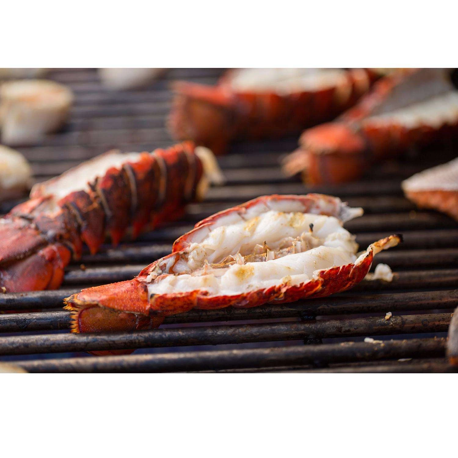 Weber Summit S-660 6 Burner Natural Gas Grill Stainless Steel - Image 4